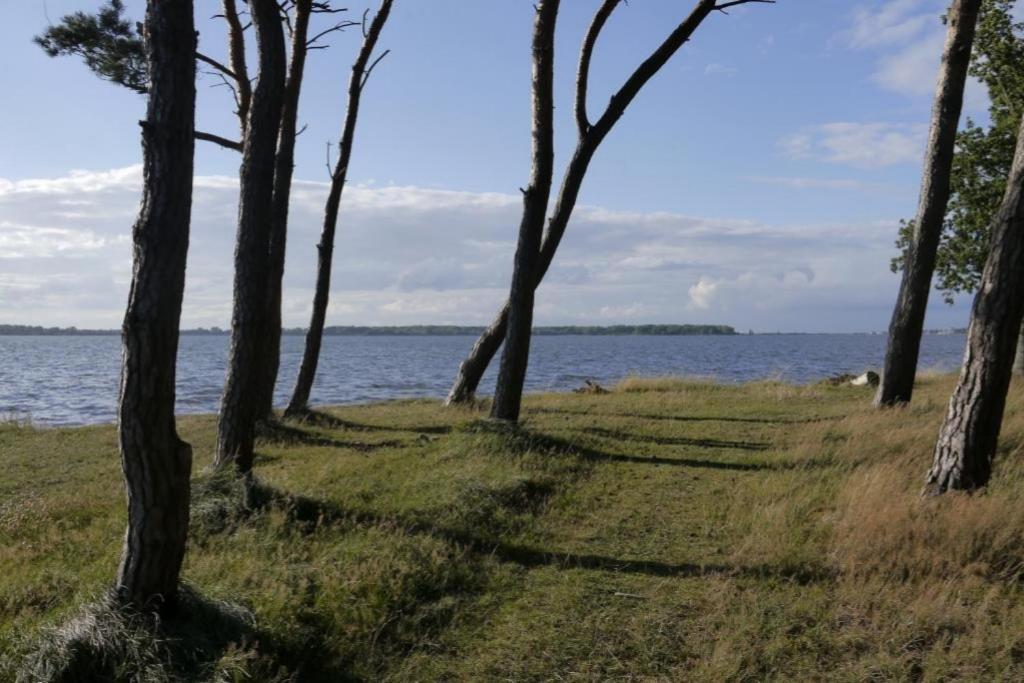 Fewo 08 Seemoewe Mit Blick Auf Salzhaff Und Ostsee Rerik Extérieur photo